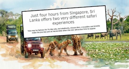 Sri Lanka's Wildlife Wonders Featured by CNA
